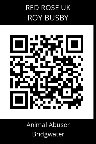 QR code for roy-busby