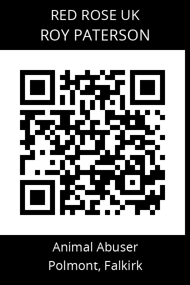 QR code for roy-paterson