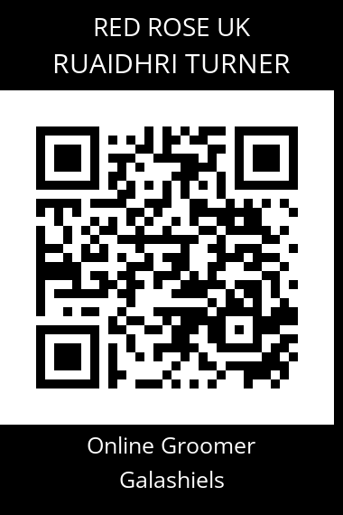 QR code for ruaidhri-turner