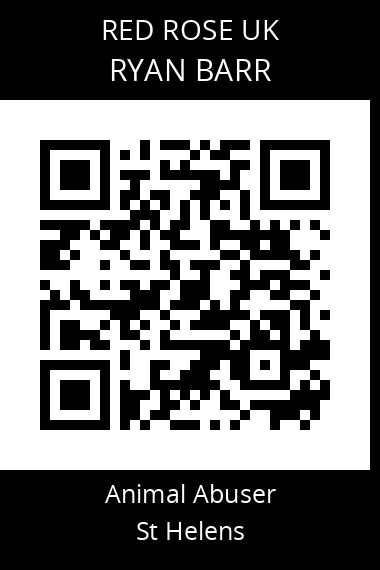 QR code for ryan-barr