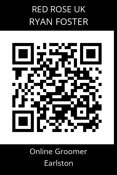 QR code for ryan-foster-2