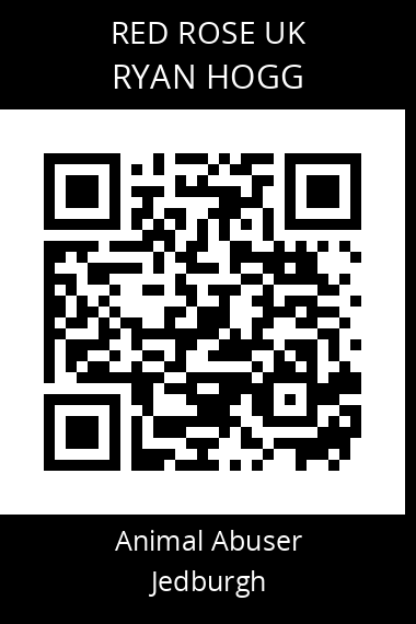 QR code for ryan-hogg-2