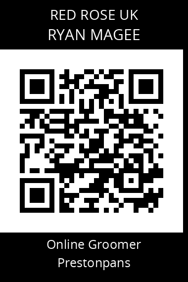 QR code for ryan-magee