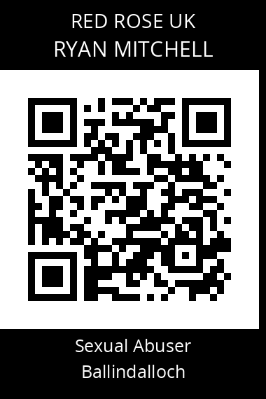 QR code for ryan-mitchell