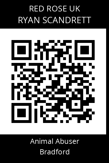 QR code for ryan-scandrett