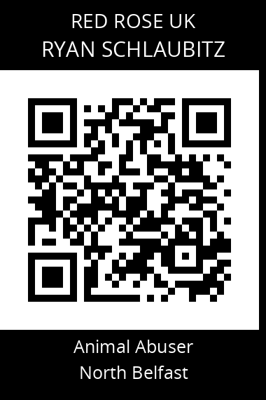 QR code for ryan-schlaubitz