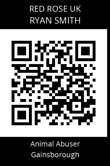 QR code for ryan-smith-3