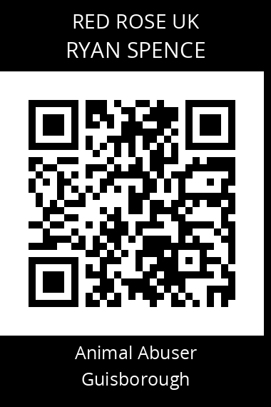 QR code for ryan-spence
