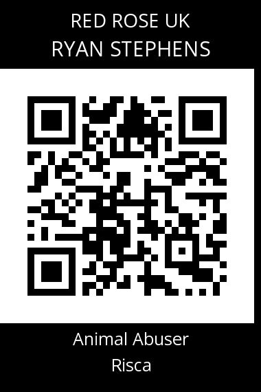 QR code for ryan-stephens