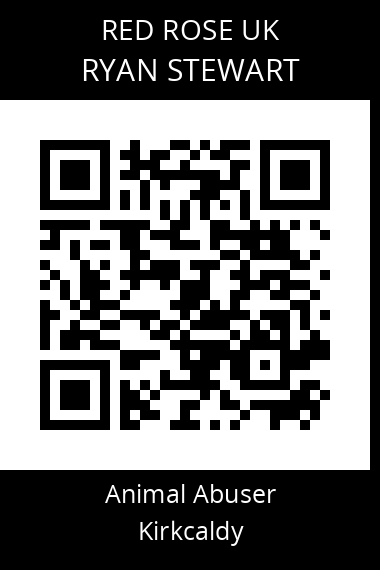 QR code for ryan-stewart-1