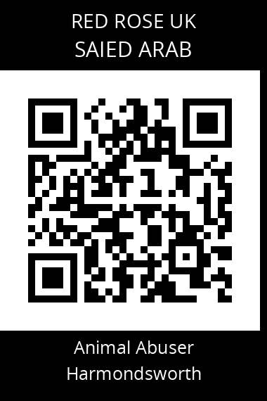 QR code for saied-arab