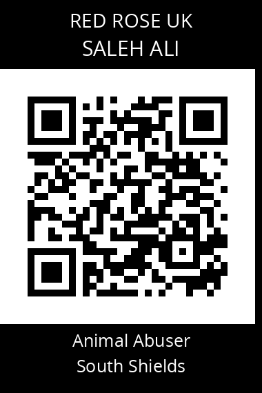 QR code for saleh-ali