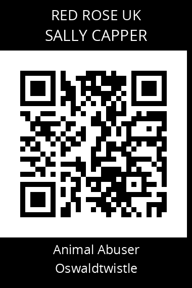 QR code for sally-capper