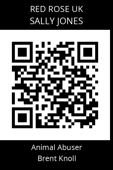 QR code for sally-jones