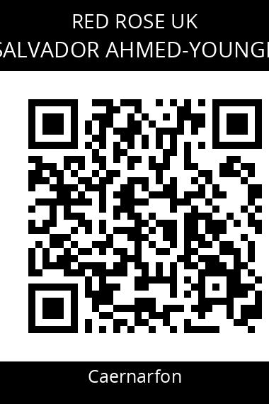 QR code for salvador-ahmed-younge