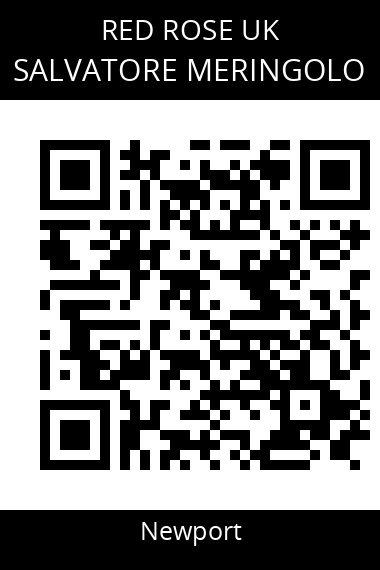 QR code for salvatore-meringolo
