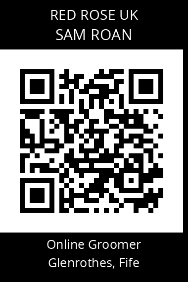 QR code for sam-roan-1