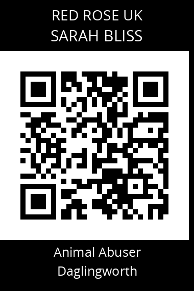 QR code for sarah-bliss