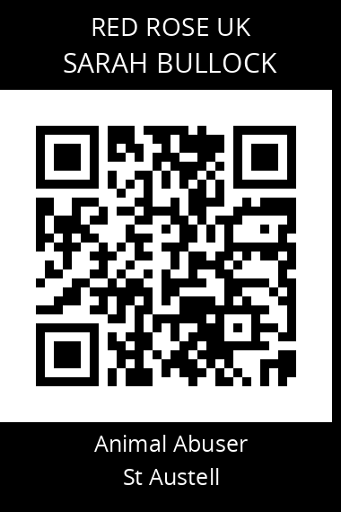QR code for sarah-bullock