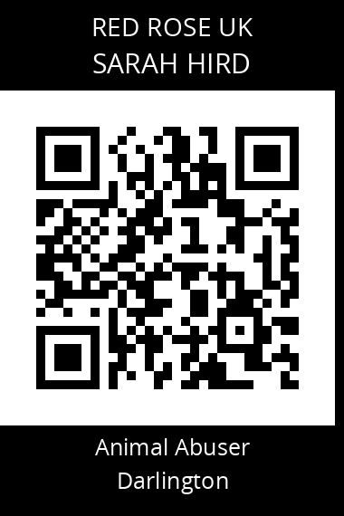 QR code for sarah-hird