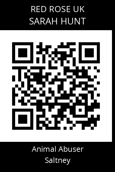 QR code for sarah-hunt