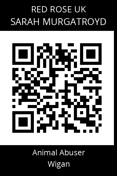 QR code for sarah-murgatroyd