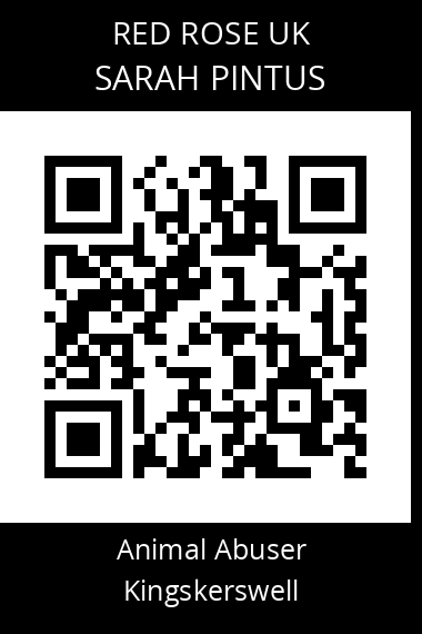 QR code for sarah-pintus