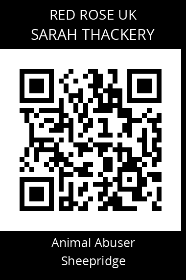 QR code for sarah-thackery