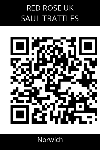 QR code for saul-trattles-mr3nli