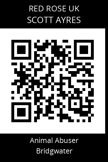 QR code for scott-ayres