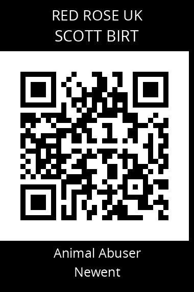 QR code for scott-birt