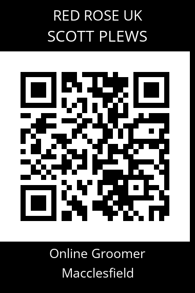 QR code for scott-plews