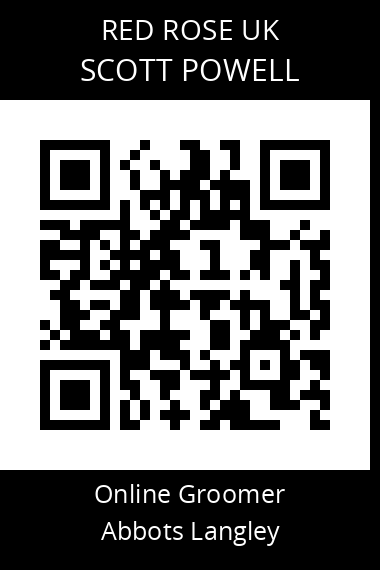 QR code for scott-powell