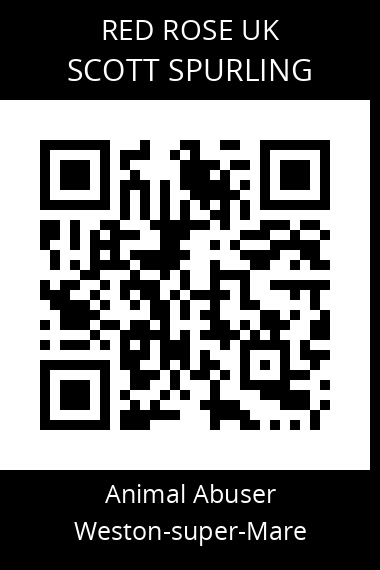QR code for scott-spurling