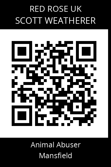 QR code for scott-weatherer