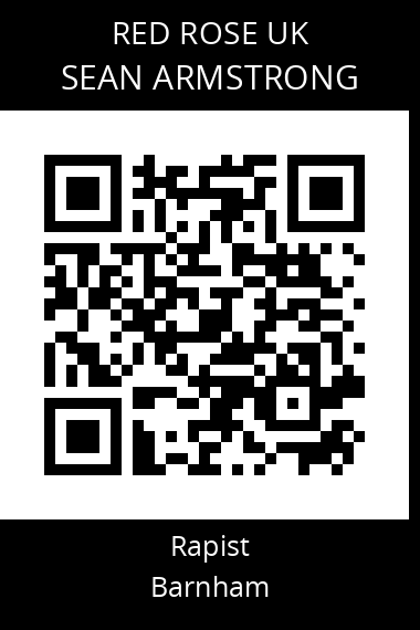 QR code for sean-armstrong