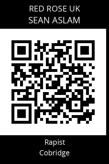 QR code for sean-aslam