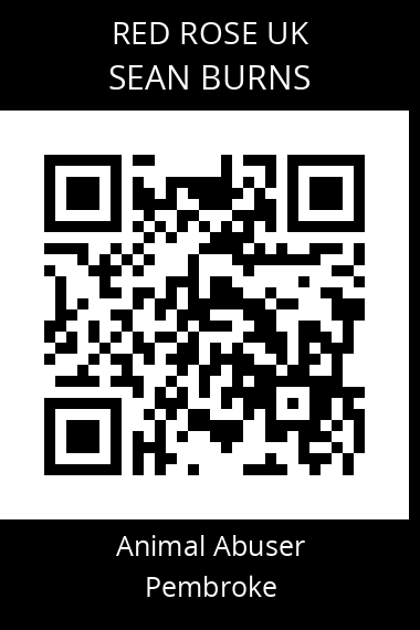 QR code for sean-burns