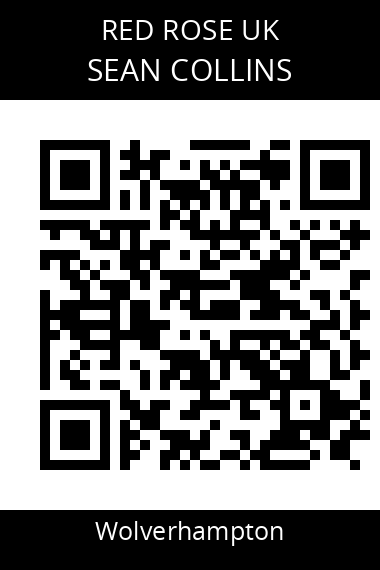 QR code for sean-collins-hstyiu