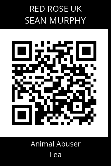 QR code for sean-murphy-1