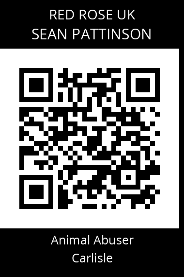 QR code for sean-pattinson