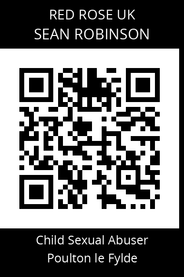 QR code for sean-robinson-3