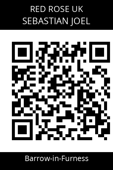 QR code for sebastian-joel-vd5zye