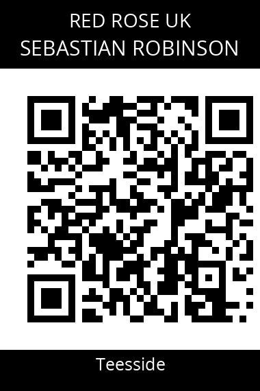 QR code for sebastian-robinson