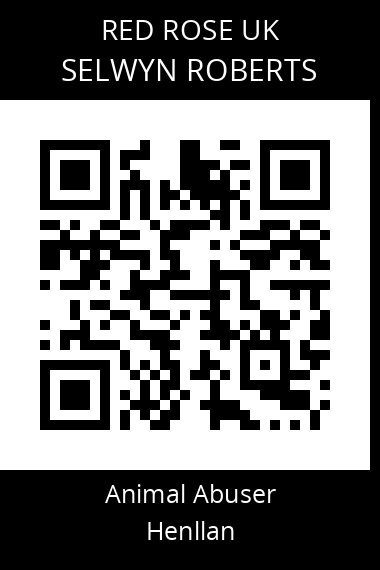 QR code for selwyn-roberts