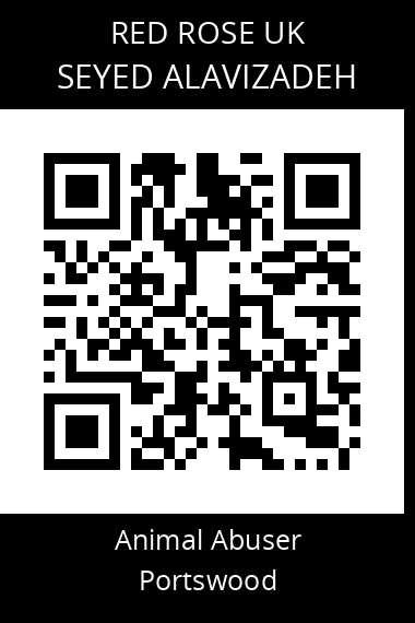 QR code for seyed-alavizadeh