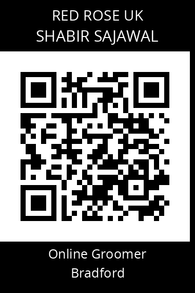 QR code for shabir-sajawal