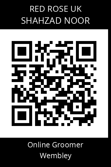 QR code for shahzad-noor
