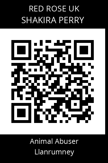 QR code for shakira-perry