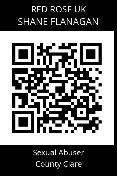 QR code for shane-flanagan